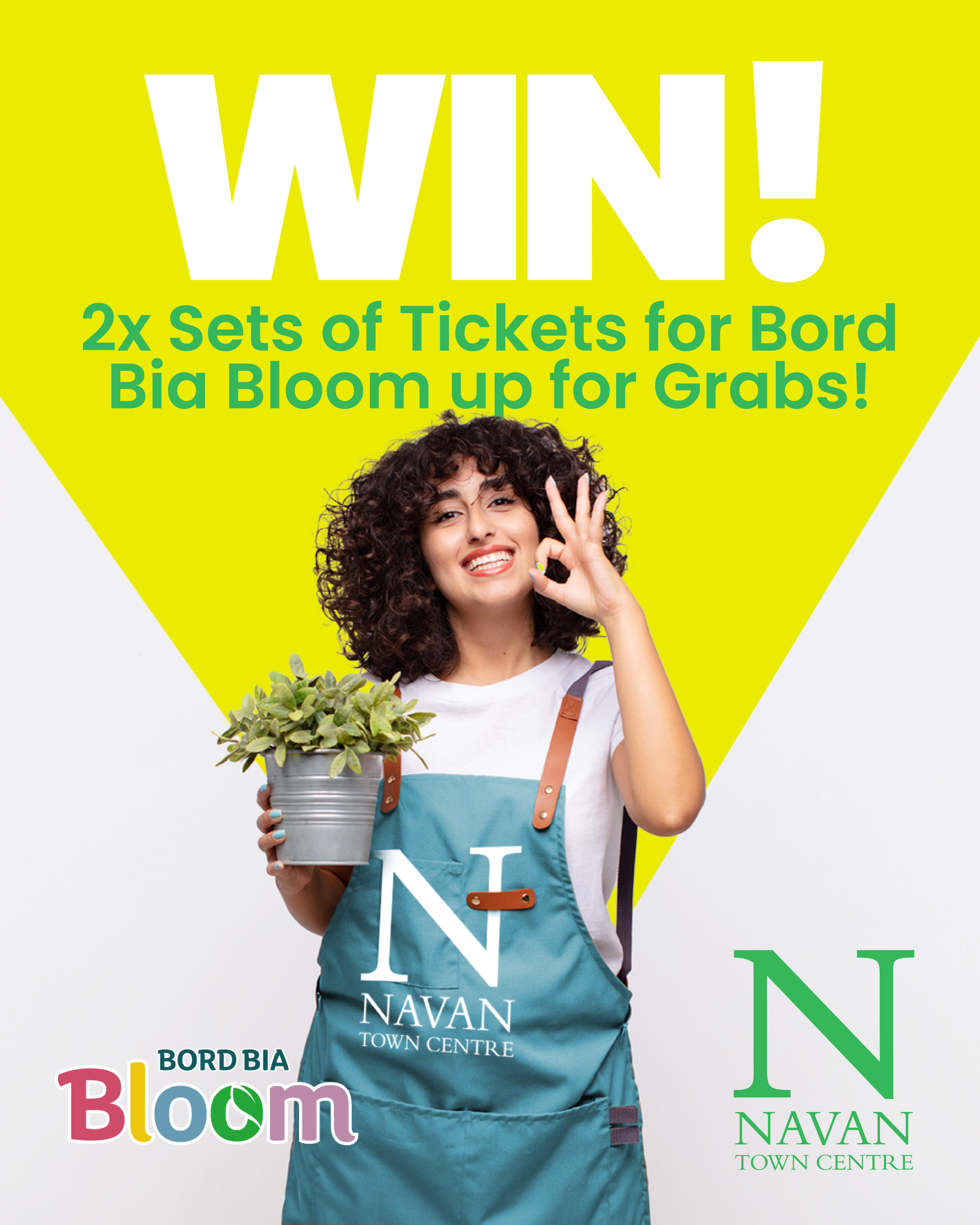 Bord Bia Bloom Festival Competition T&Cs